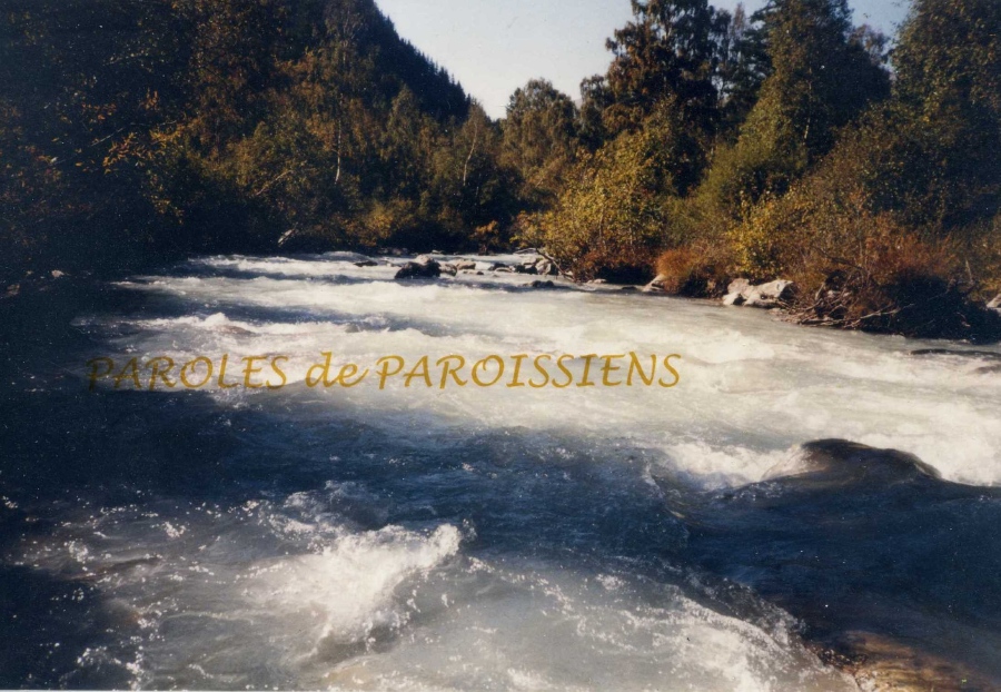 Le Rhône :
Le Rhône prend sa source en Suisse au glacier de la Furka.
Ses eaux ont la couleur de la photographie ci-contre (torrent glaciaire)
Avant d'atteindre Lyon, le Rhône traverse la lac Léman, quitte la suisse à Genève, contourne le Grand Colombier (Jura), atteint le confluent avec l'Ain (face à Anthon) et arrive au pont de Jons.
Presque 2000 ans avant nous, un romain, grec de culture, a écrit, en grec, une géographie du monde de son époque A propos du Rhône, Strabon a écrit: « Il s'élance depuis les Alpes avec un fort volume et beaucoup d'impétuosité. » « Il conflue avec la Saône à Lugdunum (Lyon). »
Malgré les difficultés (fort courant, crues, rapides, rochers..) le Rhône a très tôt été navigué, en pirogue, en bateaux de toutes sortes. A l'époque médiévale, on verra des convois halés* par des attelages.
(* D'où, le chemin de halage.)
Pour les péniches actuelles, à moteur, il faut attendre l'année 1816 pour que Jouffroy d'Abbans fasse construire un bateau mu par une machine à vapeur. Pour la première fois dans l'histoire, un bateau peut remonter le courant (de la Saône). Le Rhône :
Le Rhône prend sa source en Suisse au glacier de la Furka.
Ses eaux ont la couleur de la photographie ci-contre (torrent glaciaire)
Avant d'atteindre Lyon, le Rhône traverse la lac Léman, quitte la suisse à Genève, contourne le Grand Colombier (Jura), atteint le confluent avec l'Ain (face à Anthon) et arrive au pont de Jons.
Presque 2000 ans avant nous, un romain, grec de culture, a écrit, en grec, une géographie du monde de son époque A propos du Rhône, Strabon a écrit: « Il s'élance depuis les Alpes avec un fort volume et beaucoup d'impétuosité. » « Il conflue avec la Saône à Lugdunum (Lyon). »
Malgré les difficultés (fort courant, crues, rapides, rochers..) le Rhône a très tôt été navigué, en pirogue, en bateaux de toutes sortes. A l'époque médiévale, on verra des convois halés* par des attelages.
(* D'où, le chemin de halage.)
Pour les péniches actuelles, à moteur, il faut attendre l'année 1816 pour que Jouffroy d'Abbans fasse construire un bateau mu par une machine à vapeur. Pour la première fois dans l'histoire, un bateau peut remonter le courant (de la Saône).