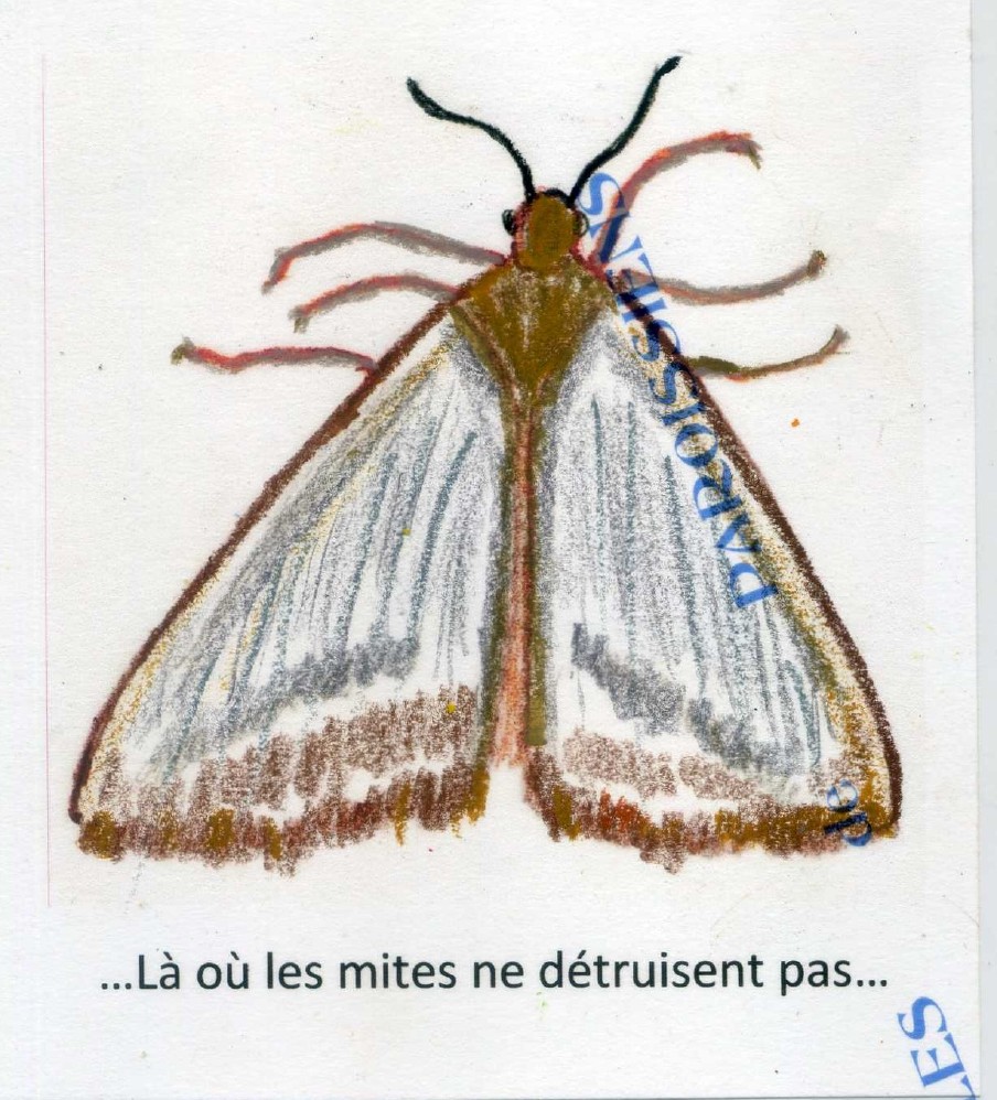 Évangile selon saint Luc 12,32-48
En ce temps-là, Jésus disait à ses disciples : « Sois sans crainte, petit troupeau : votre Père a trouvé bon de vous donner le Royaume. Vendez ce que vous possédez et donnez-le en aumône. Faites-vous des bourses qui ne s’usent pas, un trésor inépuisable dans les cieux, là où le voleur n’approche pas, où la mite ne détruit pas. Car là où est votre trésor, là aussi sera votre cœur. Restez en tenue de service, votre ceinture autour des reins, et vos lampes allumées. Soyez comme des gens qui attendent leur maître à son retour des noces, pour lui ouvrir dès qu’il arrivera et frappera à la porte. Heureux ces serviteurs-là que le maître, à son arrivée, trouvera en train de veiller. Amen, je vous le dis : c’est lui qui, la ceinture autour des reins, les fera prendre place à table et passera pour les servir. S’il revient vers minuit ou vers trois heures du matin et qu’il les trouve ainsi, heureux sont-ils ! Vous le savez bien : si le maître de maison avait su à quelle heure le voleur viendrait, il n’aurait pas laissé percer le mur de sa maison. Vous aussi, tenez-vous prêts : c’est à l’heure où vous n’y penserez pas que le Fils de l’homme viendra. » Pierre dit alors : « Seigneur, est-ce pour nous que tu dis cette parabole, ou bien pour tous ? » Le Seigneur répondit : « Que dire de l’intendant fidèle et sensé à qui le maître confiera la charge de son personnel pour distribuer, en temps voulu, la ration de nourriture ? Heureux ce serviteur que son maître, en arrivant, trouvera en train d’agir ainsi ! Vraiment, je vous le déclare : il l’établira sur tous ses biens. Mais si le serviteur se dit en lui-même : ‘Mon maître tarde à venir’, et s’il se met à frapper les serviteurs et les servantes, à manger, à boire et à s’enivrer, alors quand le maître viendra, le jour où son serviteur ne s’y attend pas et à l’heure qu’il ne connaît pas, il l’écartera et lui fera partager le sort des infidèles. Le serviteur qui, connaissant la volonté de son maître, n’a rien préparé et n’a pas accompli cette volonté, recevra un grand nombre de coups. Mais celui qui ne la connaissait pas, et qui a mérité des coups pour sa conduite, celui-là n’en recevra qu’un petit nombre. À qui l’on a beaucoup donné, on demandera beaucoup ; à qui l’on a beaucoup confié, on réclamera davantage. »
https://www.carmel.asso.fr/Homelie-d-Avon-19eme-Dimanche-T-O.html
Commenaire du frère Olivier Rousseau, ocd Évangile selon saint Luc 12,32-48
En ce temps-là, Jésus disait à ses disciples : « Sois sans crainte, petit troupeau : votre Père a trouvé bon de vous donner le Royaume. Vendez ce que vous possédez et donnez-le en aumône. Faites-vous des bourses qui ne s’usent pas, un trésor inépuisable dans les cieux, là où le voleur n’approche pas, où la mite ne détruit pas. Car là où est votre trésor, là aussi sera votre cœur. Restez en tenue de service, votre ceinture autour des reins, et vos lampes allumées. Soyez comme des gens qui attendent leur maître à son retour des noces, pour lui ouvrir dès qu’il arrivera et frappera à la porte. Heureux ces serviteurs-là que le maître, à son arrivée, trouvera en train de veiller. Amen, je vous le dis : c’est lui qui, la ceinture autour des reins, les fera prendre place à table et passera pour les servir. S’il revient vers minuit ou vers trois heures du matin et qu’il les trouve ainsi, heureux sont-ils ! Vous le savez bien : si le maître de maison avait su à quelle heure le voleur viendrait, il n’aurait pas laissé percer le mur de sa maison. Vous aussi, tenez-vous prêts : c’est à l’heure où vous n’y penserez pas que le Fils de l’homme viendra. » Pierre dit alors : « Seigneur, est-ce pour nous que tu dis cette parabole, ou bien pour tous ? » Le Seigneur répondit : « Que dire de l’intendant fidèle et sensé à qui le maître confiera la charge de son personnel pour distribuer, en temps voulu, la ration de nourriture ? Heureux ce serviteur que son maître, en arrivant, trouvera en train d’agir ainsi ! Vraiment, je vous le déclare : il l’établira sur tous ses biens. Mais si le serviteur se dit en lui-même : ‘Mon maître tarde à venir’, et s’il se met à frapper les serviteurs et les servantes, à manger, à boire et à s’enivrer, alors quand le maître viendra, le jour où son serviteur ne s’y attend pas et à l’heure qu’il ne connaît pas, il l’écartera et lui fera partager le sort des infidèles. Le serviteur qui, connaissant la volonté de son maître, n’a rien préparé et n’a pas accompli cette volonté, recevra un grand nombre de coups. Mais celui qui ne la connaissait pas, et qui a mérité des coups pour sa conduite, celui-là n’en recevra qu’un petit nombre. À qui l’on a beaucoup donné, on demandera beaucoup ; à qui l’on a beaucoup confié, on réclamera davantage. »
https://www.carmel.asso.fr/Homelie-d-Avon-19eme-Dimanche-T-O.html
Commenaire du frère Olivier Rousseau, ocd