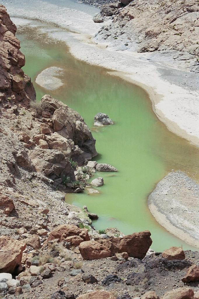 Une voix crie dans le d�sert : pr�parez le chemin du Seigneur.