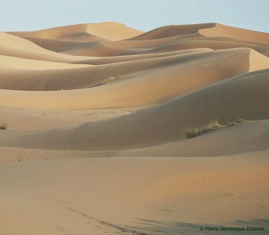 Une voix crie dans le d�sert : pr�parez le chemin du Seigneur.