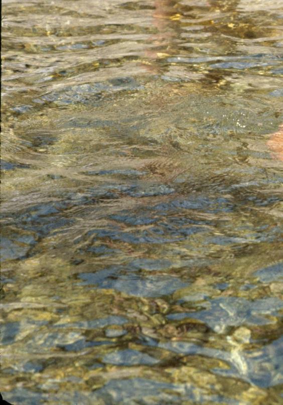 Une voix crie dans le d�sert : pr�parez le chemin du Seigneur.